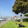 People and dog enjoying the park next to a harbor