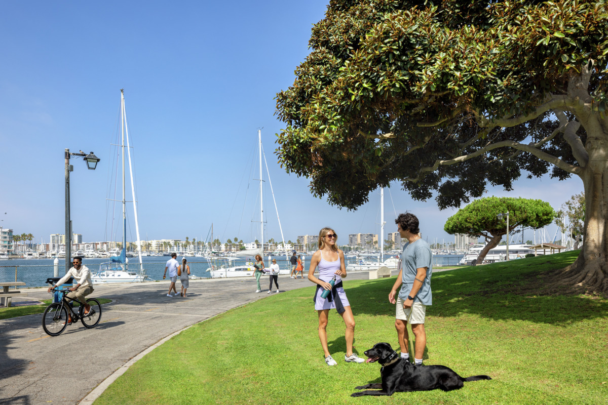 People and dog enjoying the park next to a harbor